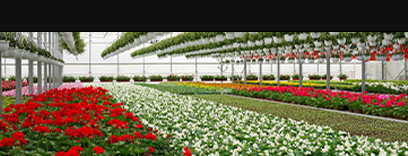 agriculture investment