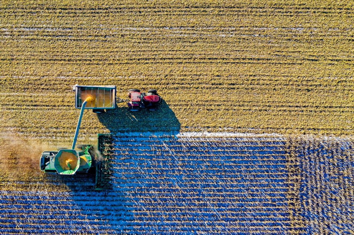 Agricultural Harvest - Sustainable Farming