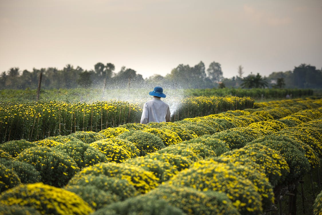 Modern Agriculture Farm - Agricultural Investment